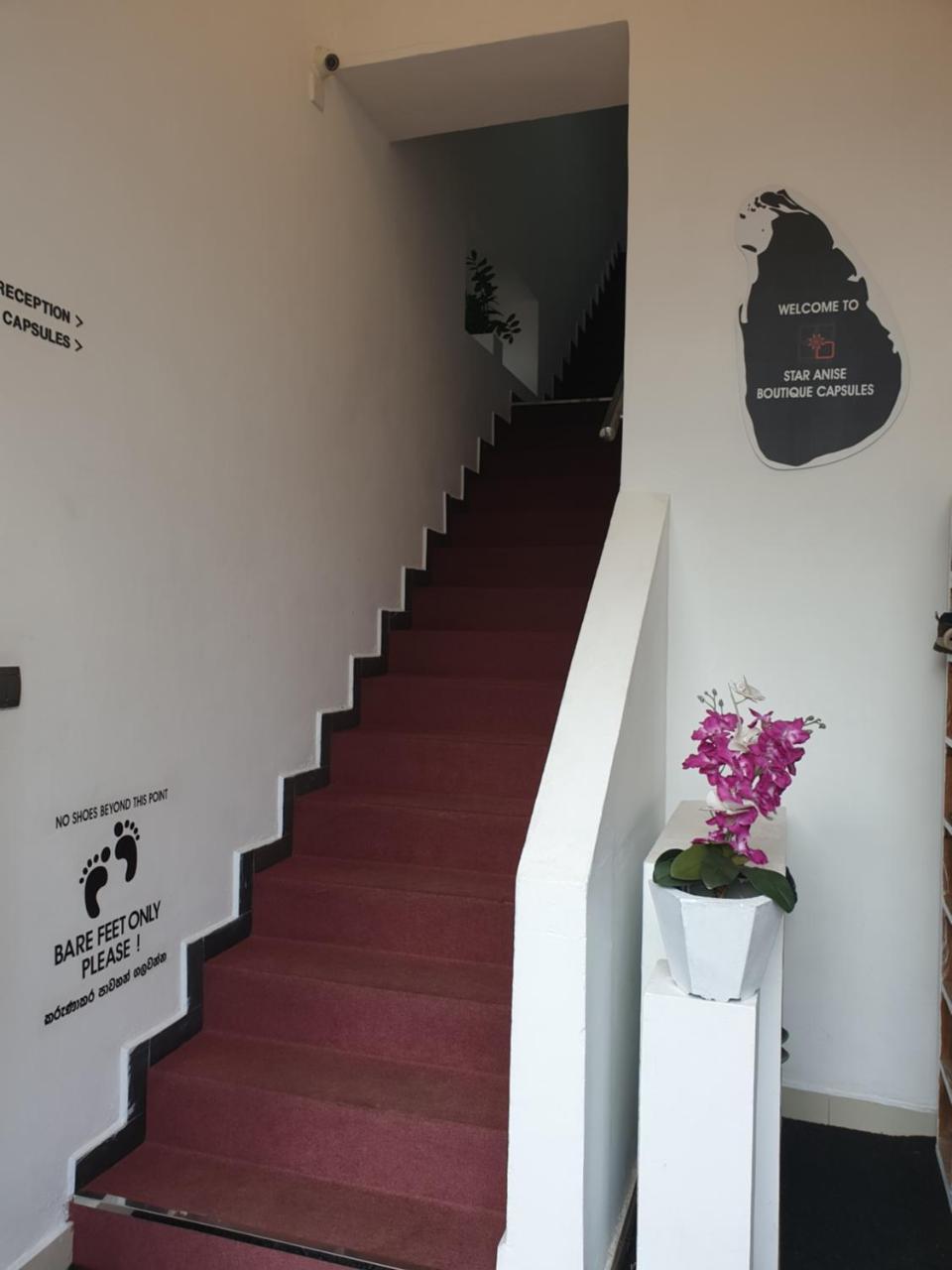 Hotel Star Anise Boutique Capsules Kolombo Zewnętrze zdjęcie